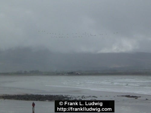 Strandhill